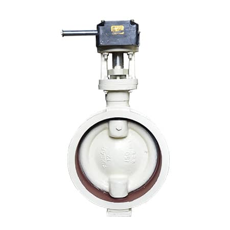 butterfly-valve-double-offset-disc-300mm, Super duplex stainless steel butterfly valve