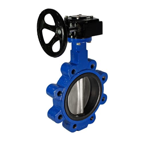 Butterfly Valve in Qatar